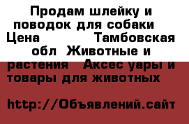 Продам шлейку и поводок для собаки. › Цена ­ 1 700 - Тамбовская обл. Животные и растения » Аксесcуары и товары для животных   